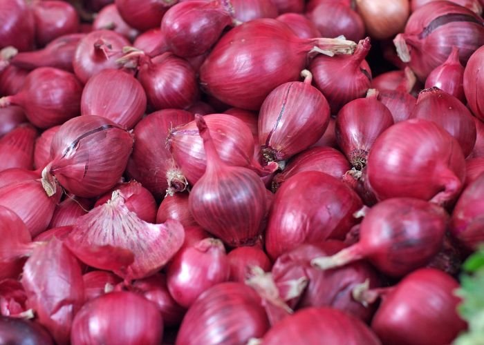 onion Wholesale Trader in pune