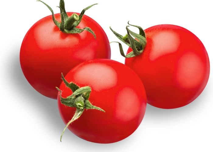 tomato import export service company pune