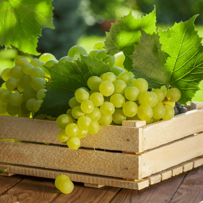 Pune fruit exporters Industry
