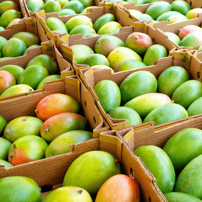 Pune fruit exporters Industry
